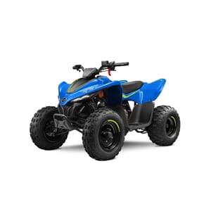 CFMOTO CFORCE 110 EFI