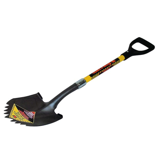 819806_Rel 819806.jpg