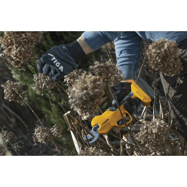 257022001/ST1_Rel 59657.png