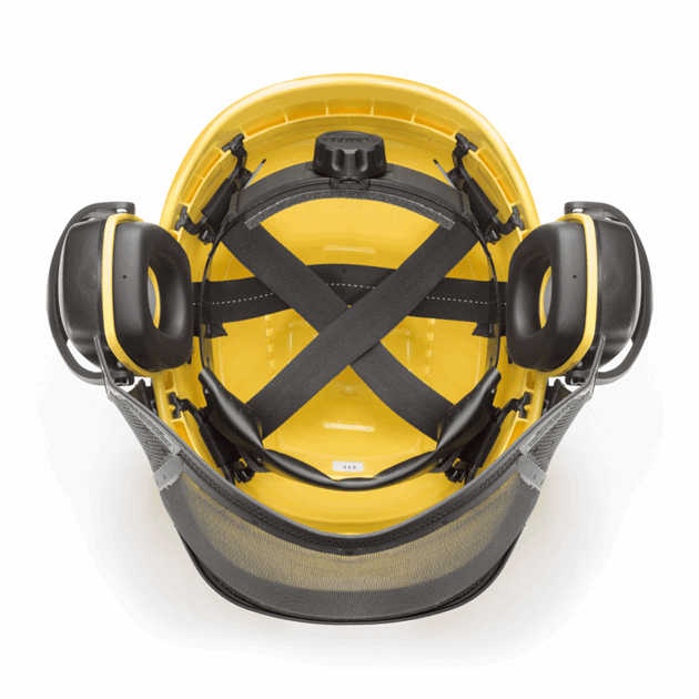 1599-1913-11_Rel 38042.png